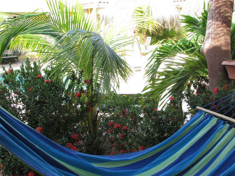 Aruba Tropic Apartments Noord Extérieur photo